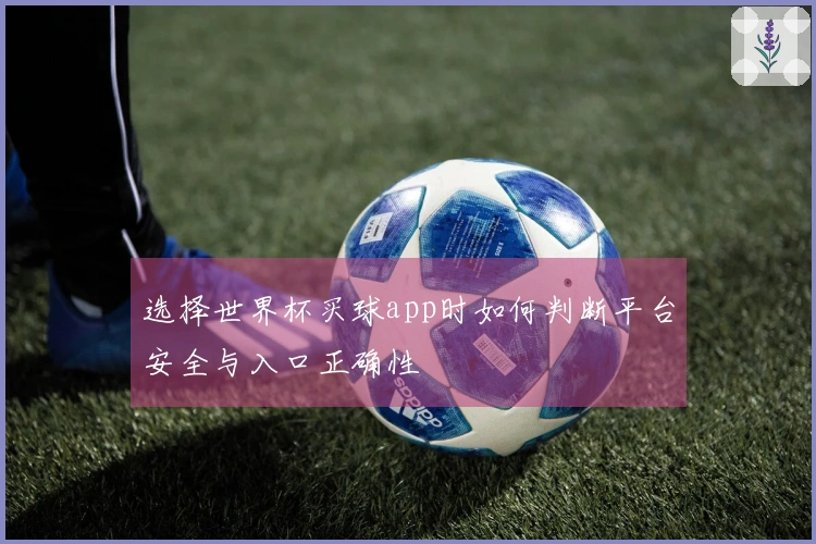 选择世界杯买球app时如何判断平台安全与入口正确性