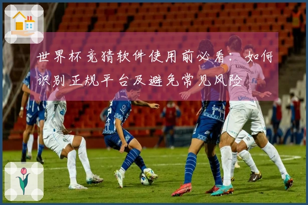 世界杯竞猜软件使用前必看：如何识别正规平台及避免常见风险