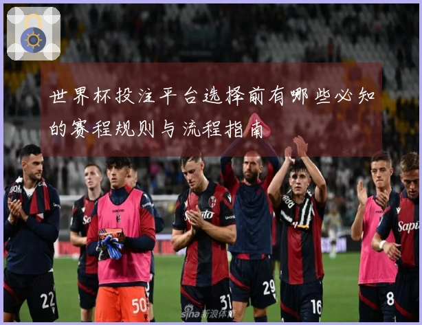 世界杯投注平台选择前有哪些必知的赛程规则与流程指南