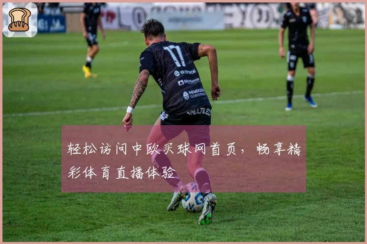 轻松访问中欧买球网首页，畅享精彩体育直播体验