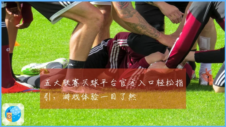 五大联赛买球平台官方入口轻松指引，游戏体验一目了然