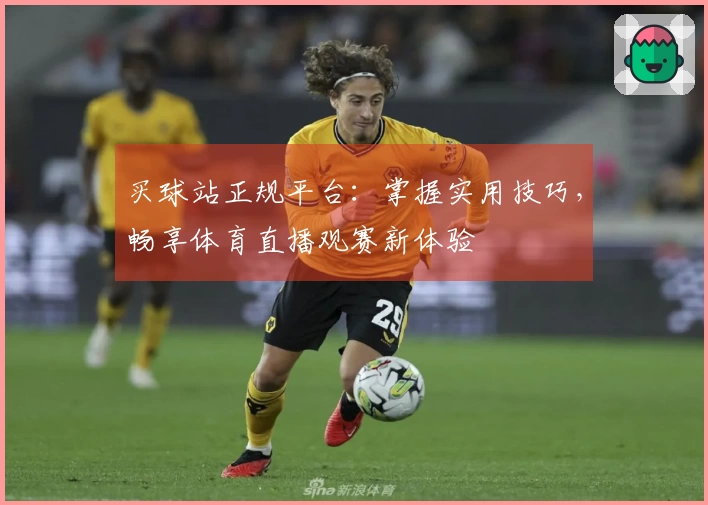买球站正规平台：掌握实用技巧，畅享体育直播观赛新体验
