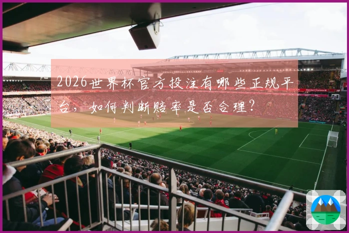 2026世界杯官方投注有哪些正规平台，如何判断赔率是否合理？