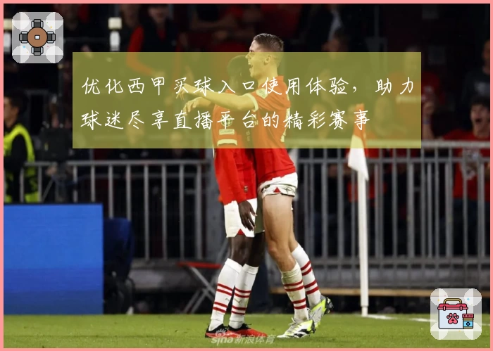 优化西甲买球入口使用体验，助力球迷尽享直播平台的精彩赛事